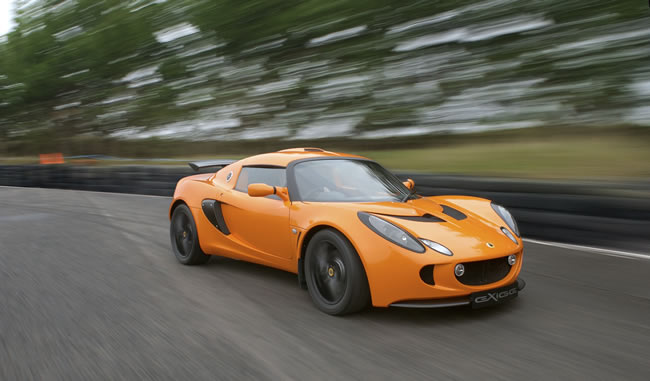 orangeexige2