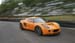 orangeexige2